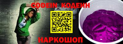 гашик Кингисепп
