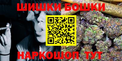 гашик Кингисепп