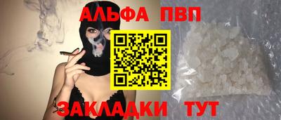 гашик Кингисепп