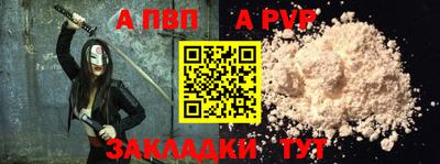 гашик Кингисепп