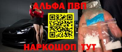гашик Кингисепп