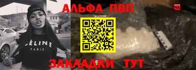гашик Кингисепп