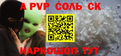 гашик Кингисепп