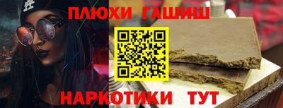 гашик Кингисепп